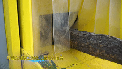 2023080919560550.gif 2023080919560550.gif