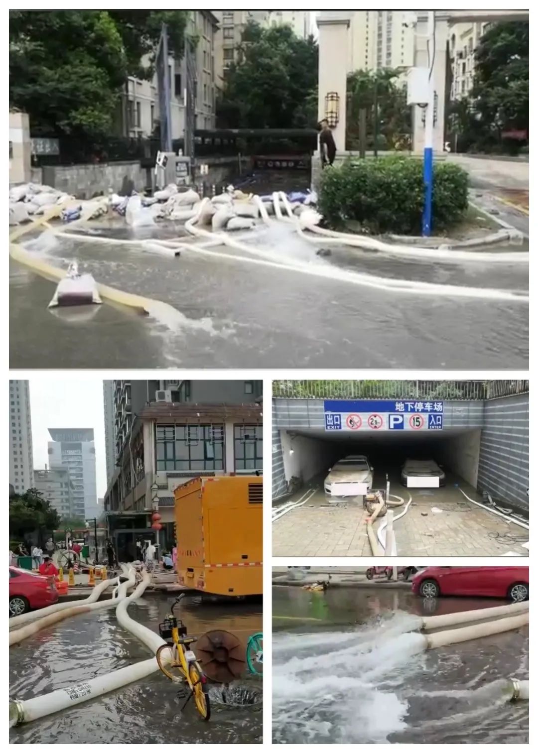 2023083020169155.jpg 2023083020169155.jpg